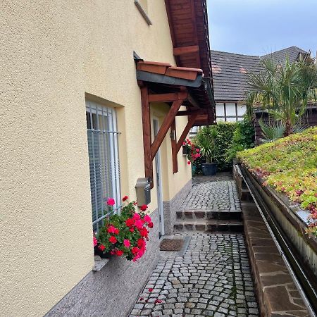 Ferienwohnung Muhlberg Seifersdorf  Bagian luar foto