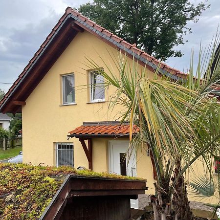 Ferienwohnung Muhlberg Seifersdorf  Bagian luar foto