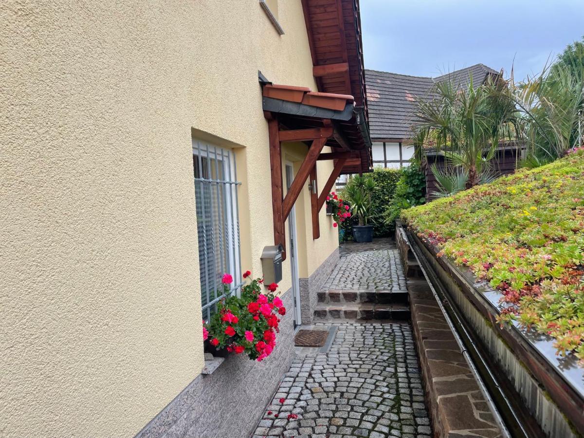 Ferienwohnung Muhlberg Seifersdorf  Bagian luar foto