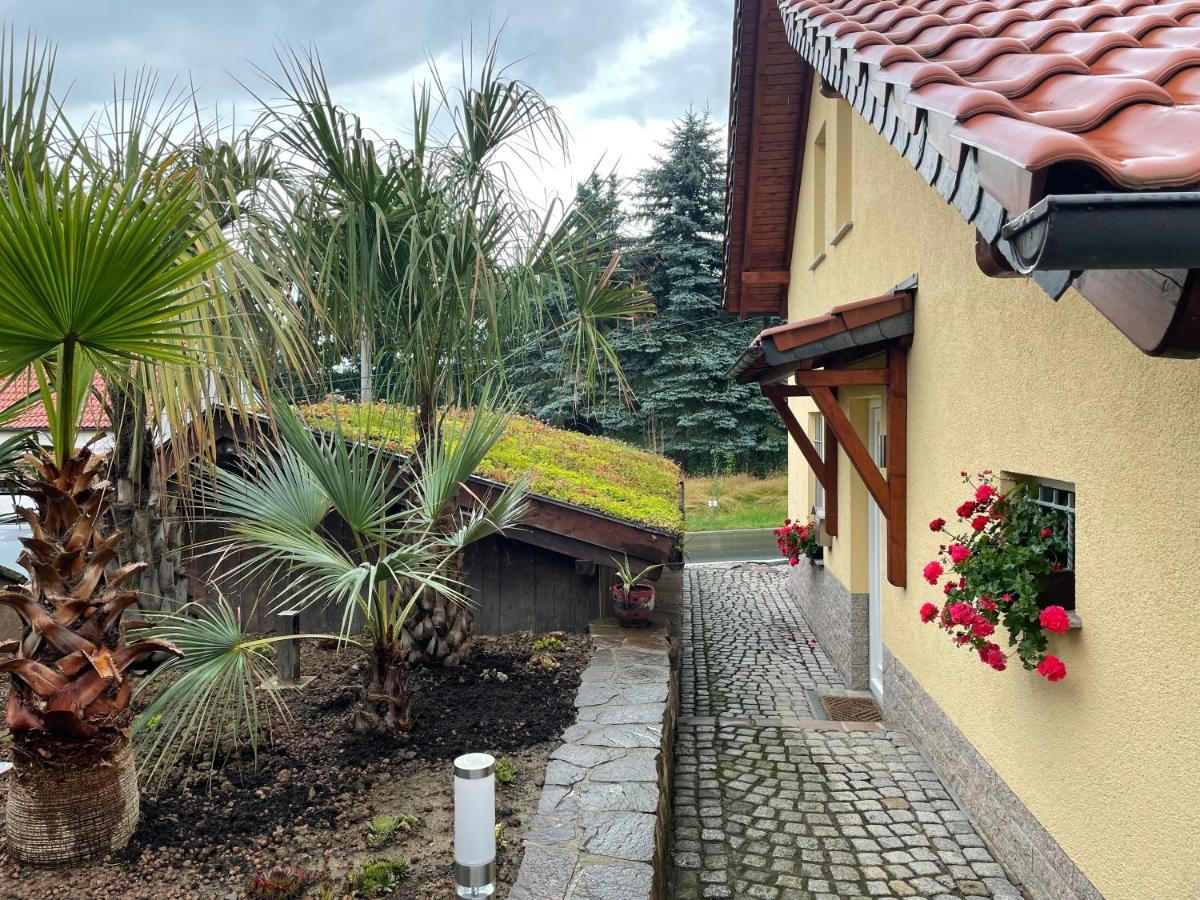 Ferienwohnung Muhlberg Seifersdorf  Bagian luar foto