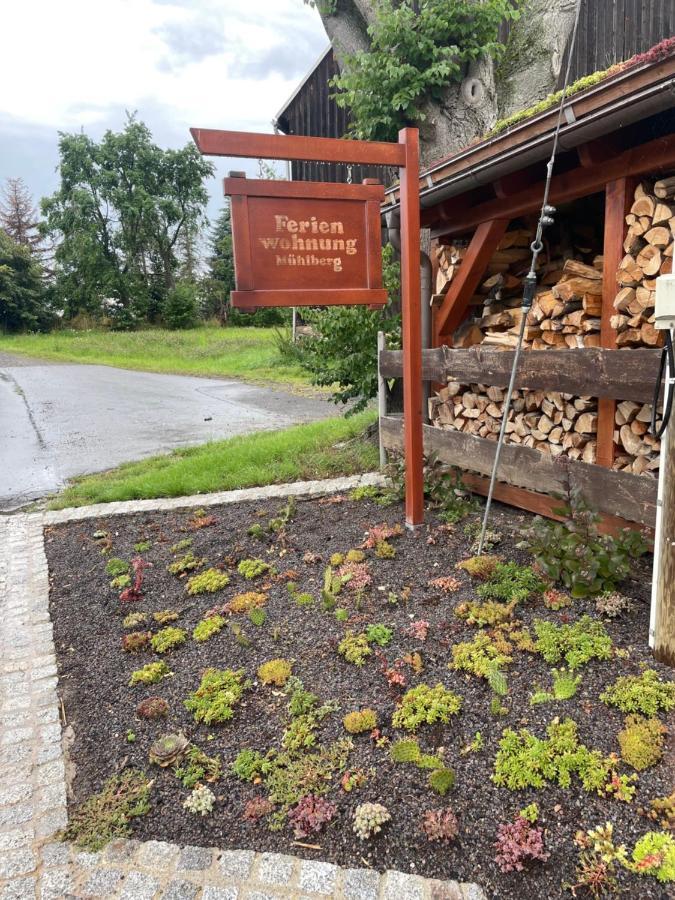 Ferienwohnung Muhlberg Seifersdorf  Bagian luar foto